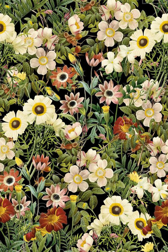 玫瑰印花华亿平台图片