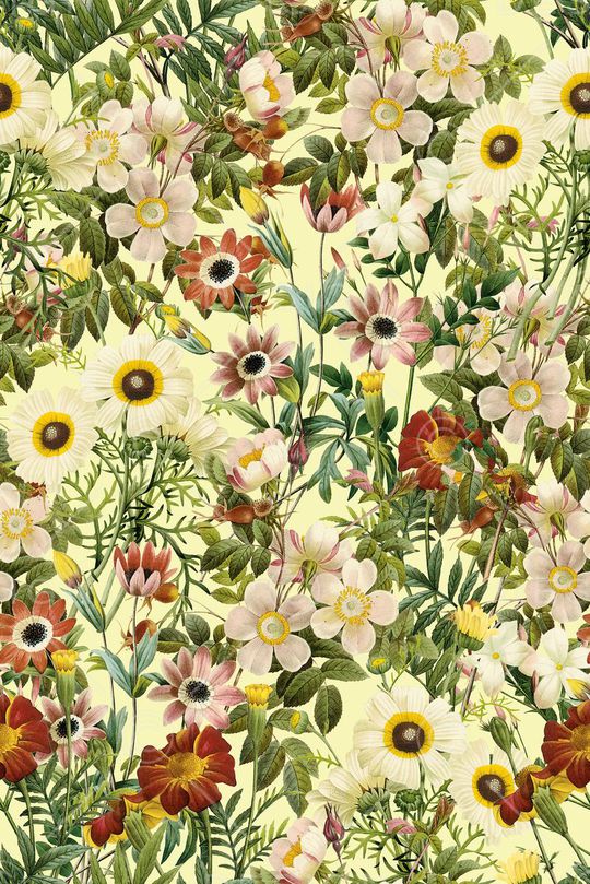 玫瑰印花华亿平台图片