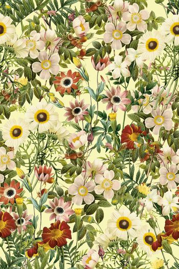 玫瑰印花华亿平台图片