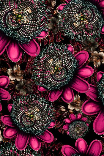 673621-FLZ-7-258....