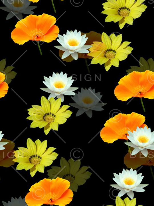 女装华亿平台印花华亿平台图片