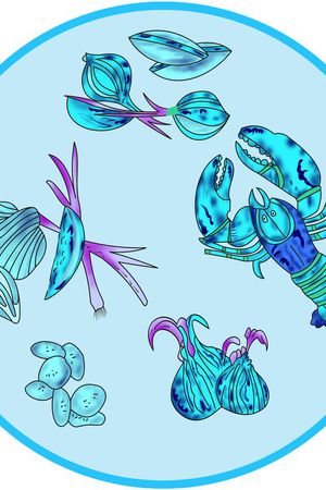 卡通迷彩印花华亿平台图片