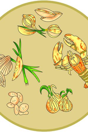 卡通迷彩印花华亿平台图片