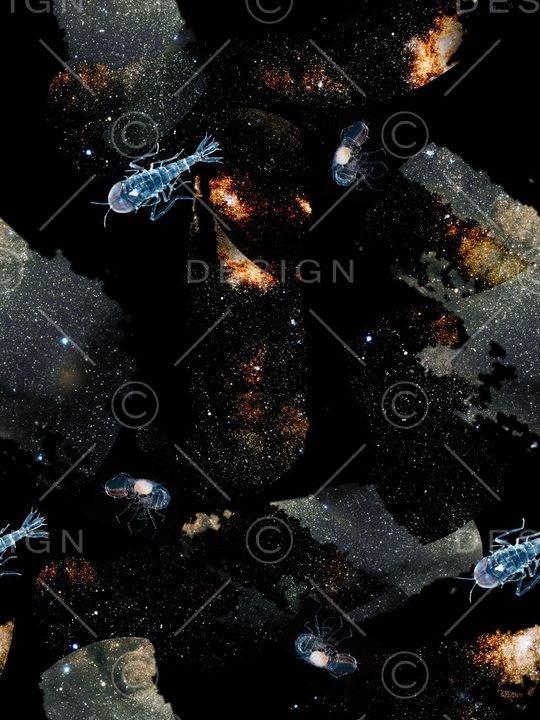 星空印花华亿平台图片