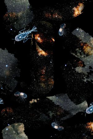 星空印花华亿平台图片