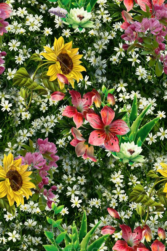 花朵印花华亿平台图片