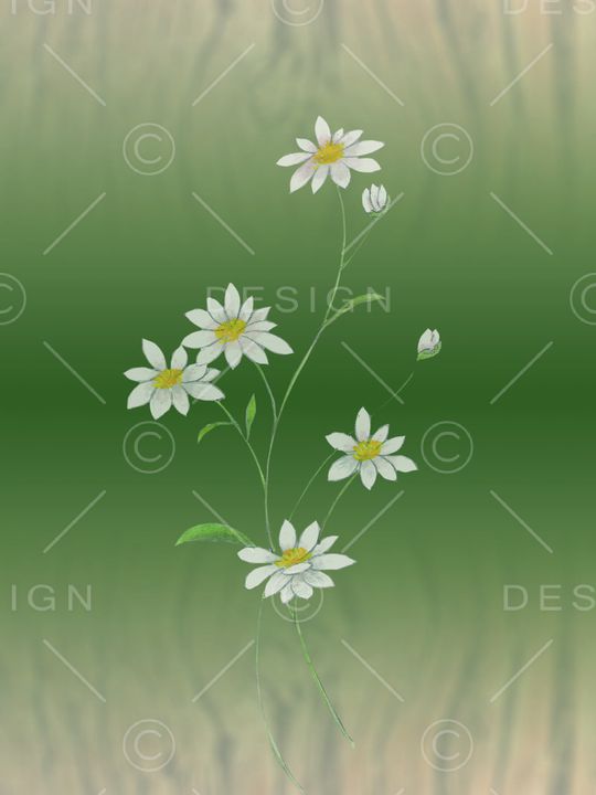 简约印花华亿平台图片