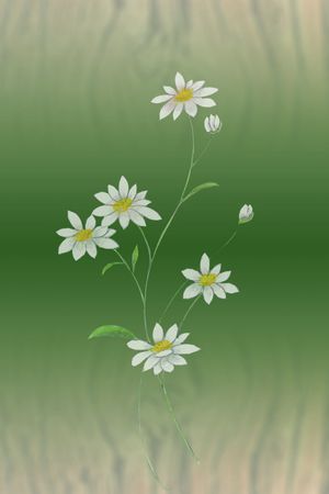 简约印花华亿平台图片