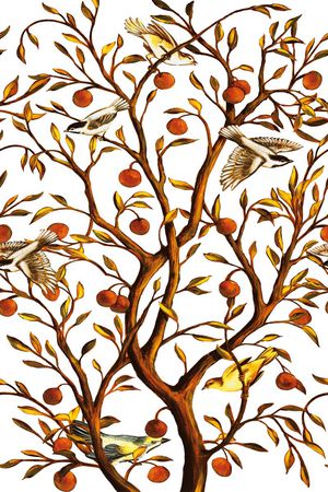 花鸟印花华亿平台图片