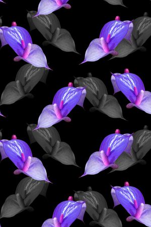 甜美花卉印花华亿平台图片