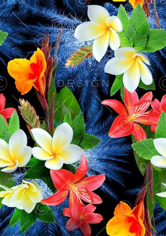 棕榈叶印花华亿平台图片