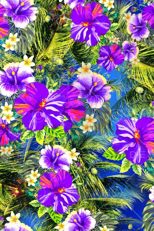 热带印花华亿平台图片