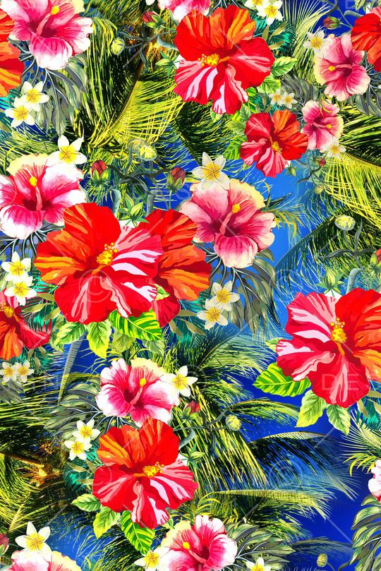 热带印花华亿平台图片