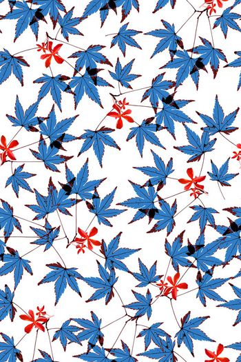 枫叶印花华亿平台图片