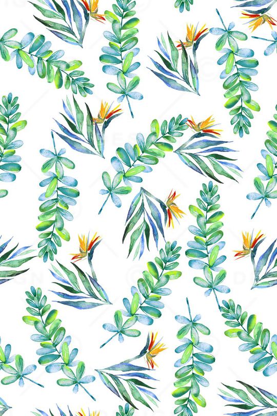 天堂鸟花印花华亿平台图片