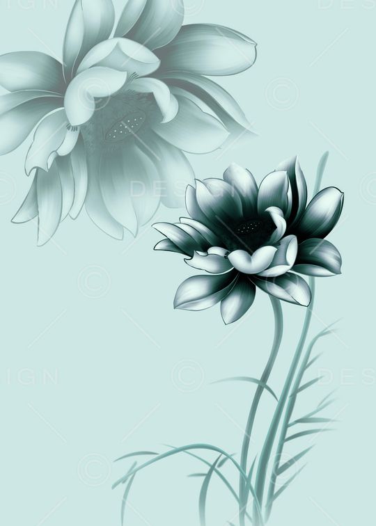 Fei-创意花卉印花华亿平台图片