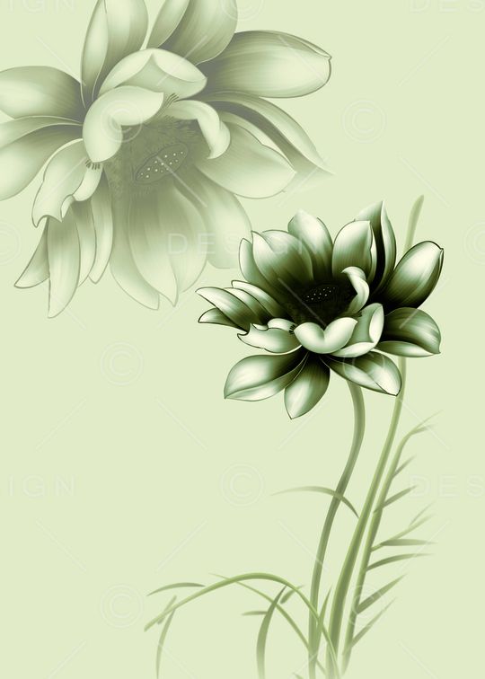 Fei-创意花卉印花华亿平台图片