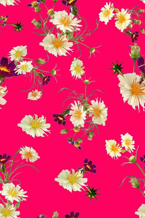 女装印花华亿平台图片