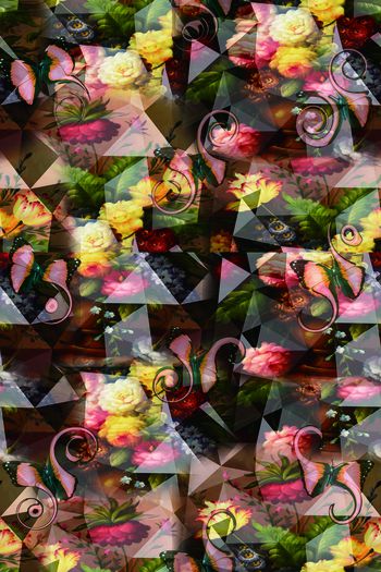 674712-花卉几何配创意蝴蝶2