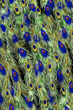 羽毛印花华亿平台图片