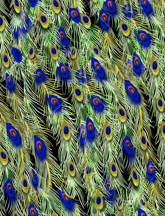 羽毛印花华亿平台图片