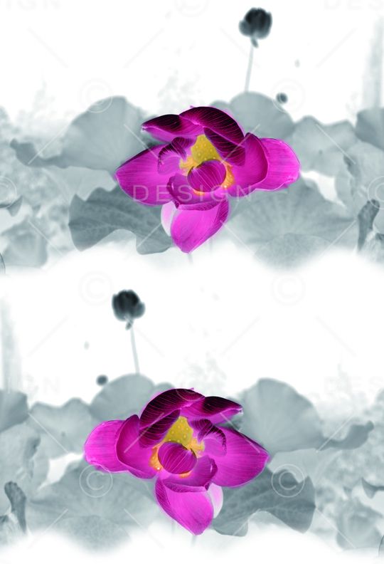 荷花印花华亿平台图片