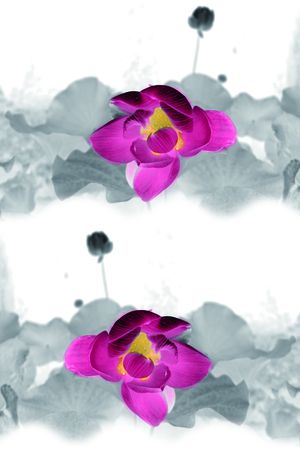 荷花印花华亿平台图片