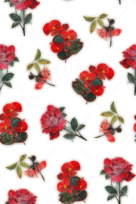 玫瑰印花华亿平台图片