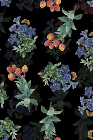 女装华亿平台印花华亿平台图片