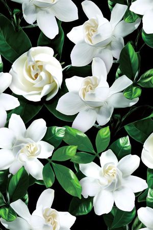 大花印花华亿平台图片