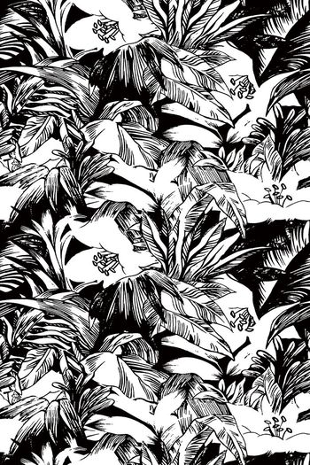 675140-手绘热带植物叶子--2