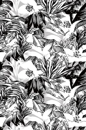 675142-手绘热带植物叶子--4