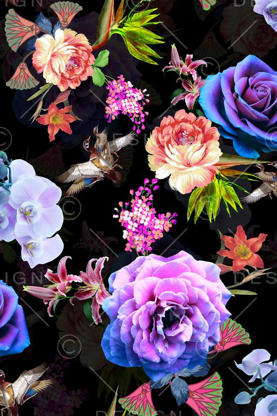 女装印花华亿平台图片