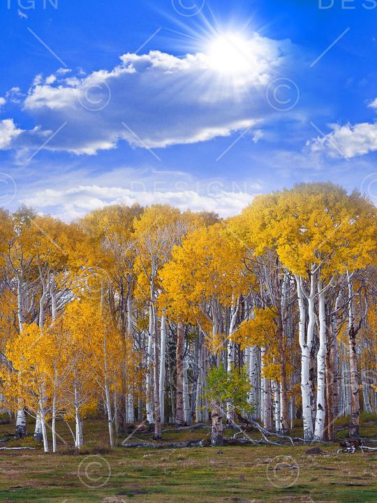 定位印花华亿平台图片