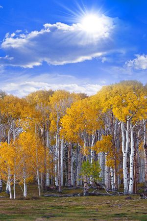 定位印花华亿平台图片
