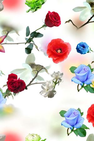 莫妮卡-大牌华亿平台印花华亿平台图片