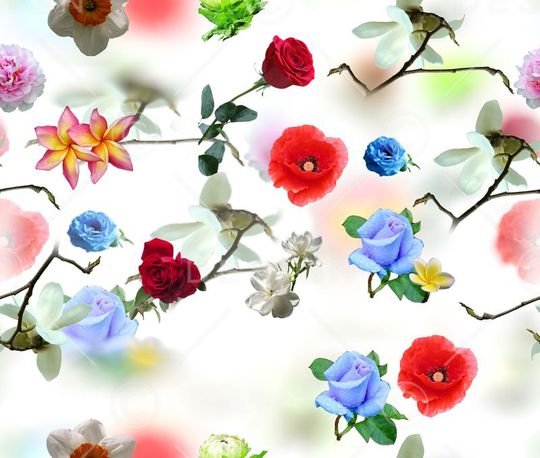 莫妮卡-大牌华亿平台印花华亿平台图片