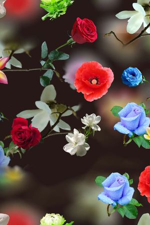 莫妮卡-大牌华亿平台印花华亿平台图片