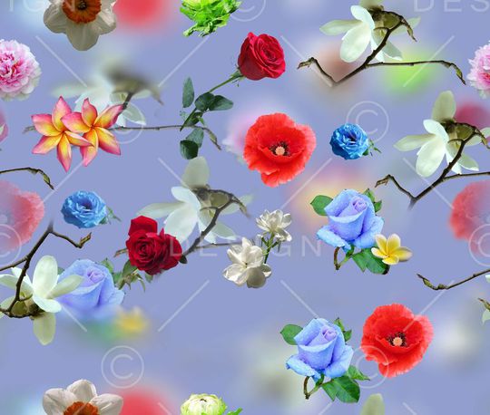 莫妮卡-大牌华亿平台印花华亿平台图片