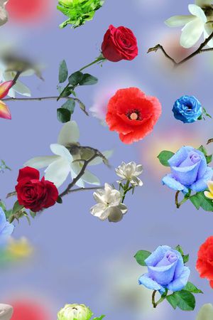 莫妮卡-大牌华亿平台印花华亿平台图片