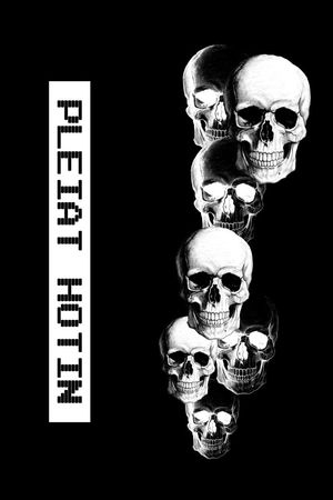 PP风格印花华亿平台图片