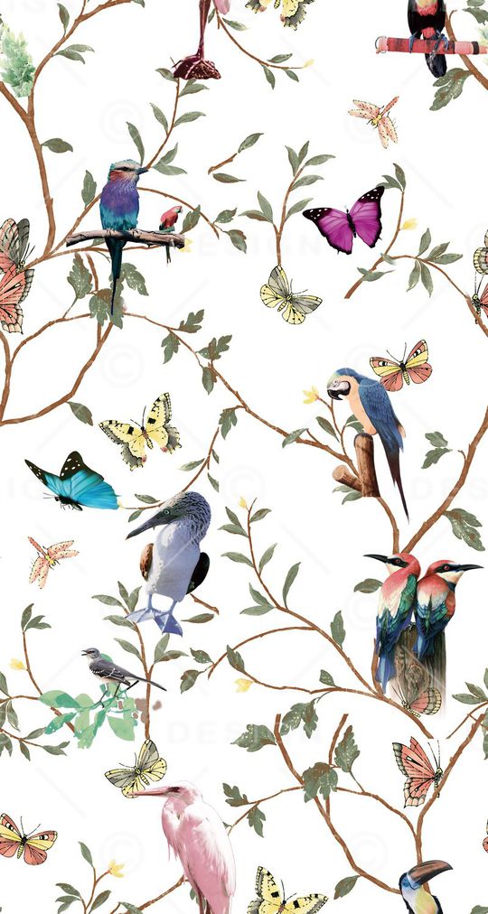 莫妮卡-女装华亿平台印花华亿平台图片