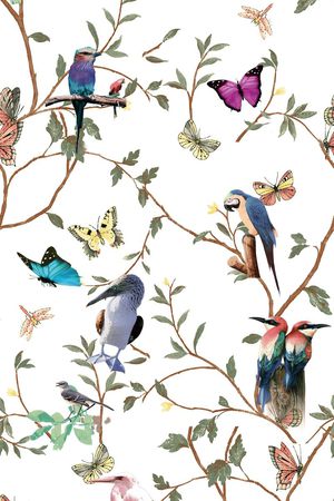 莫妮卡-女装华亿平台印花华亿平台图片