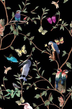 莫妮卡-女装华亿平台印花华亿平台图片