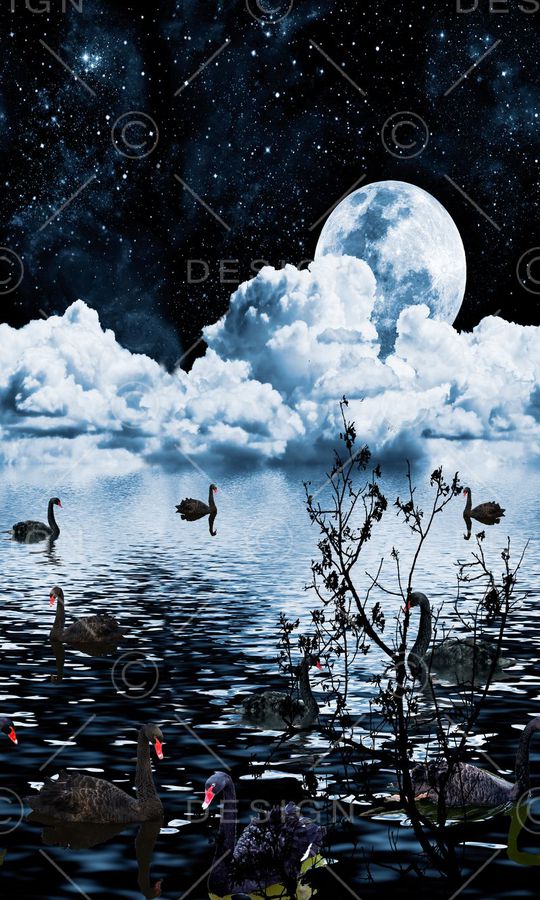 风景印花华亿平台图片