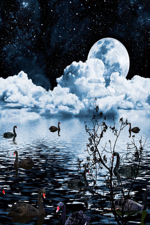 风景印花华亿平台图片