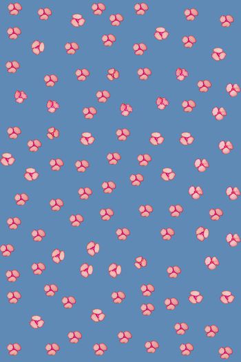 675961-花8蓝色底