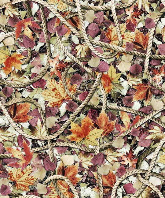 枫叶印花华亿平台图片