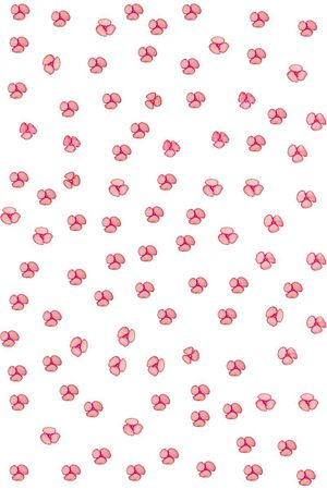 花朵印花华亿平台图片