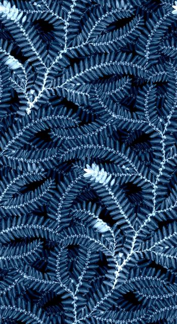 女装裤印花华亿平台图片